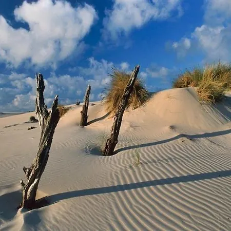 Half Of Home, Terrace, Playground *