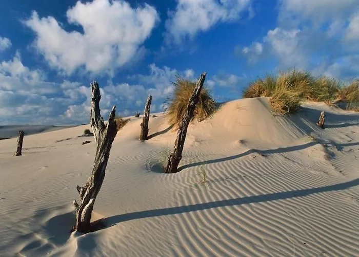 Half Of Home, Terrace, Playground *